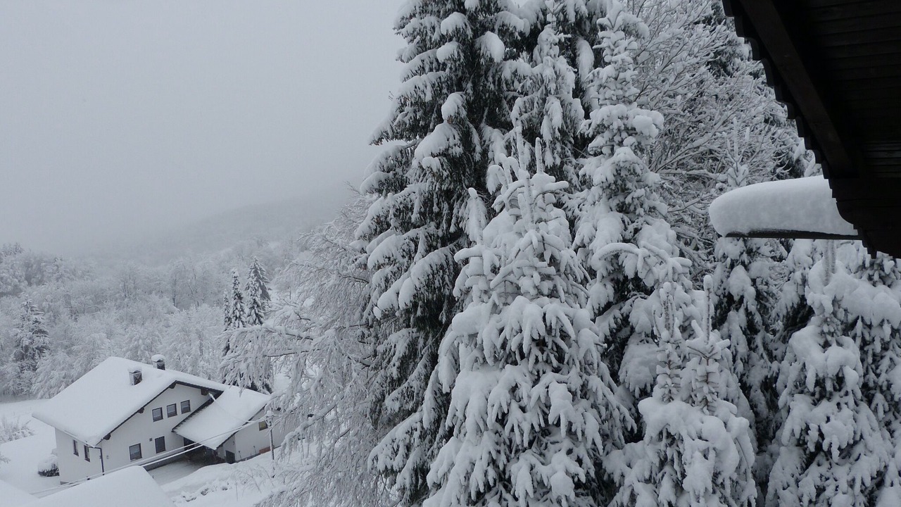 Photo of Outdoor in Zenting