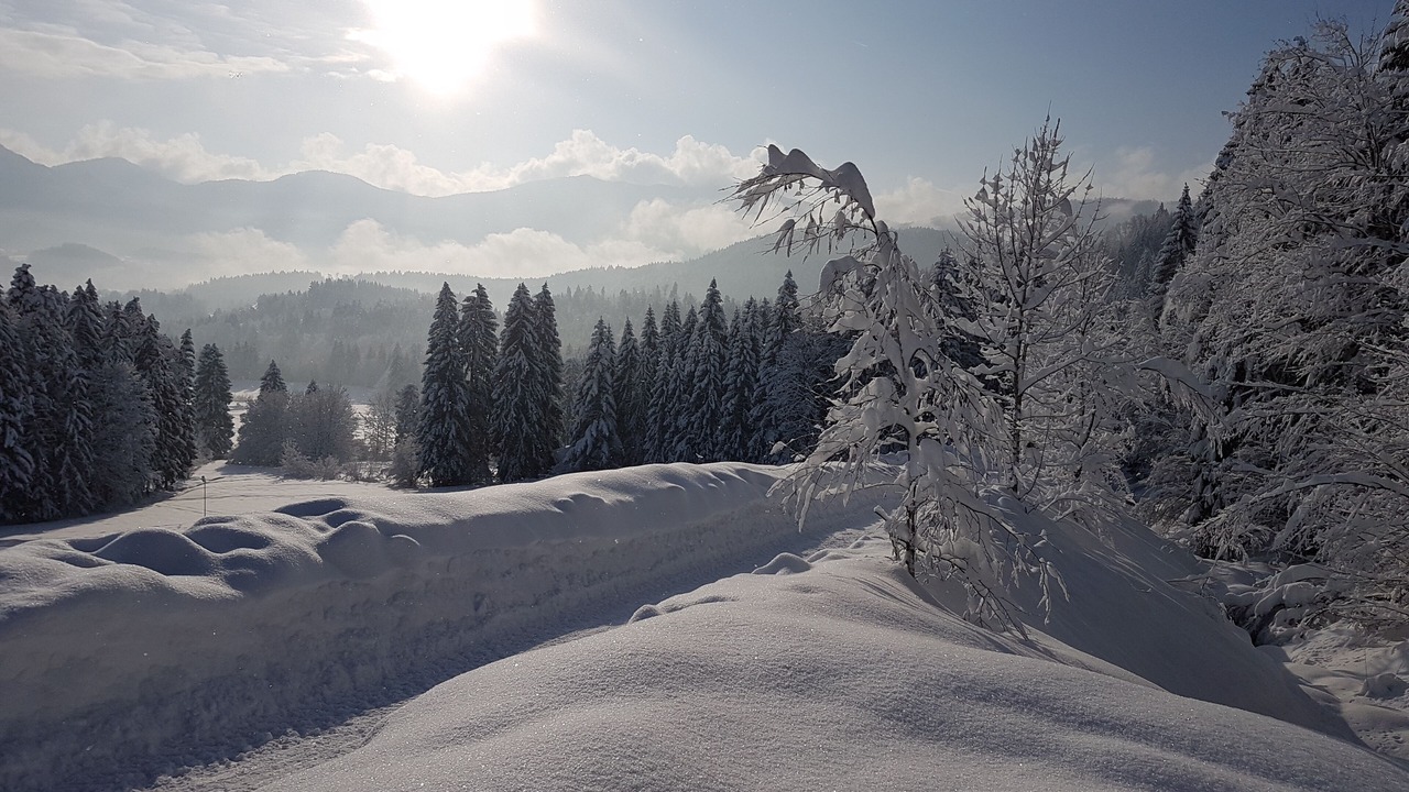 Photo of Others in Lenggries
