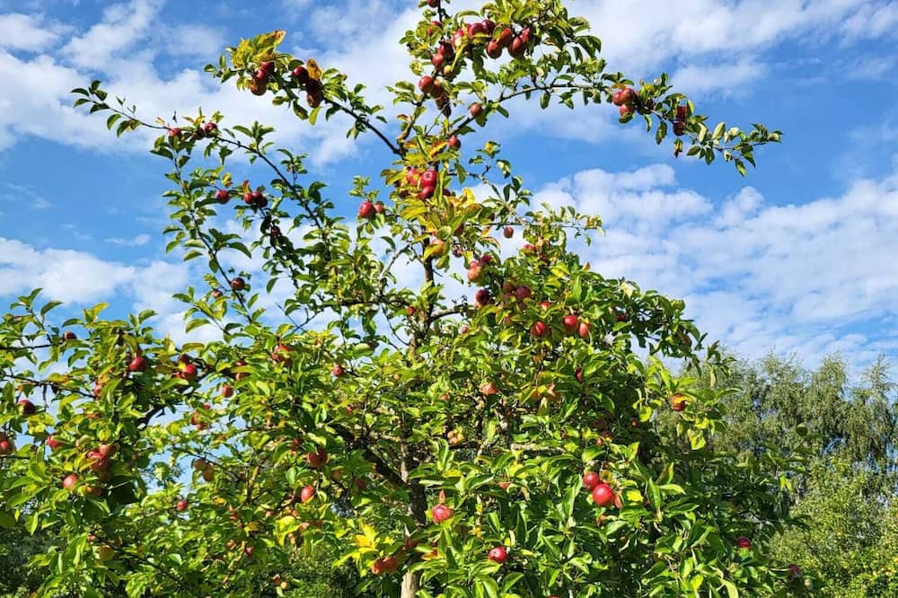 Photo of Outdoor in Bechhofen