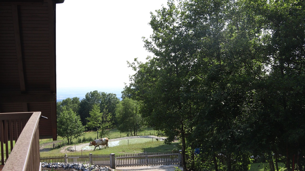 Photo of Outdoor in Bernried
