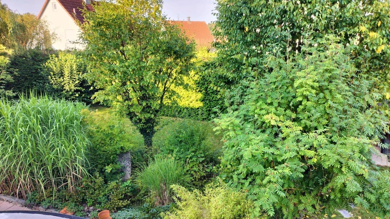 Photo of Outdoor in Dormitz