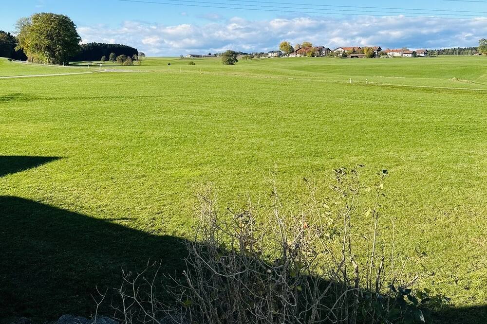 Photo of Outdoor in Pittenhart