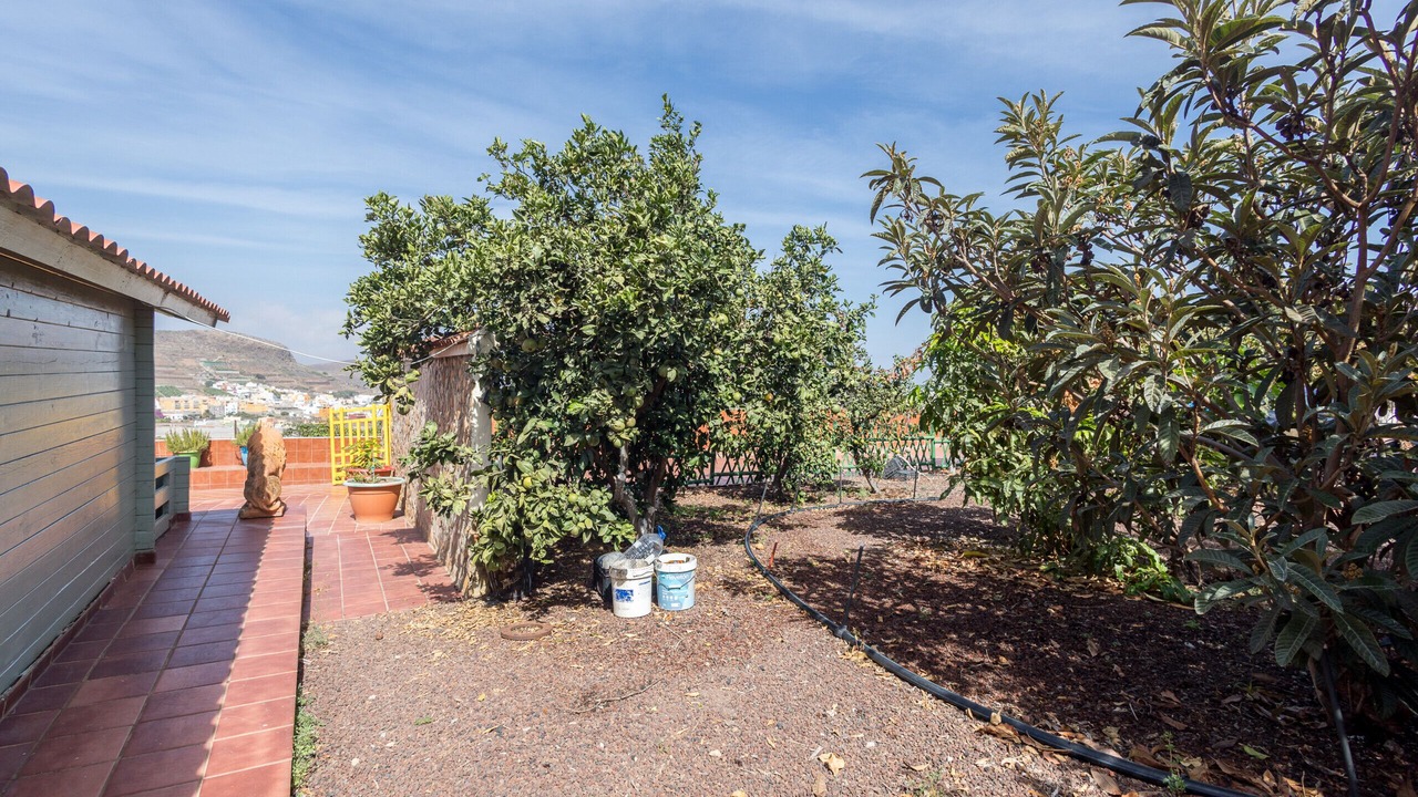 Photo of Outdoor in Galdar
