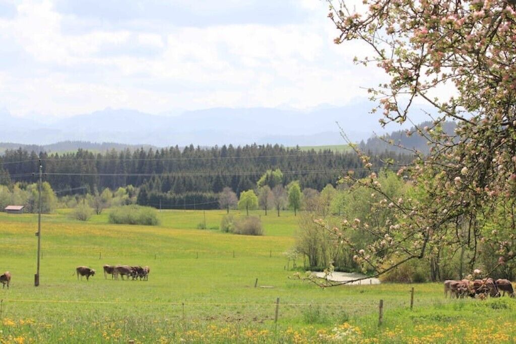 Photo of Others in Buchenberg