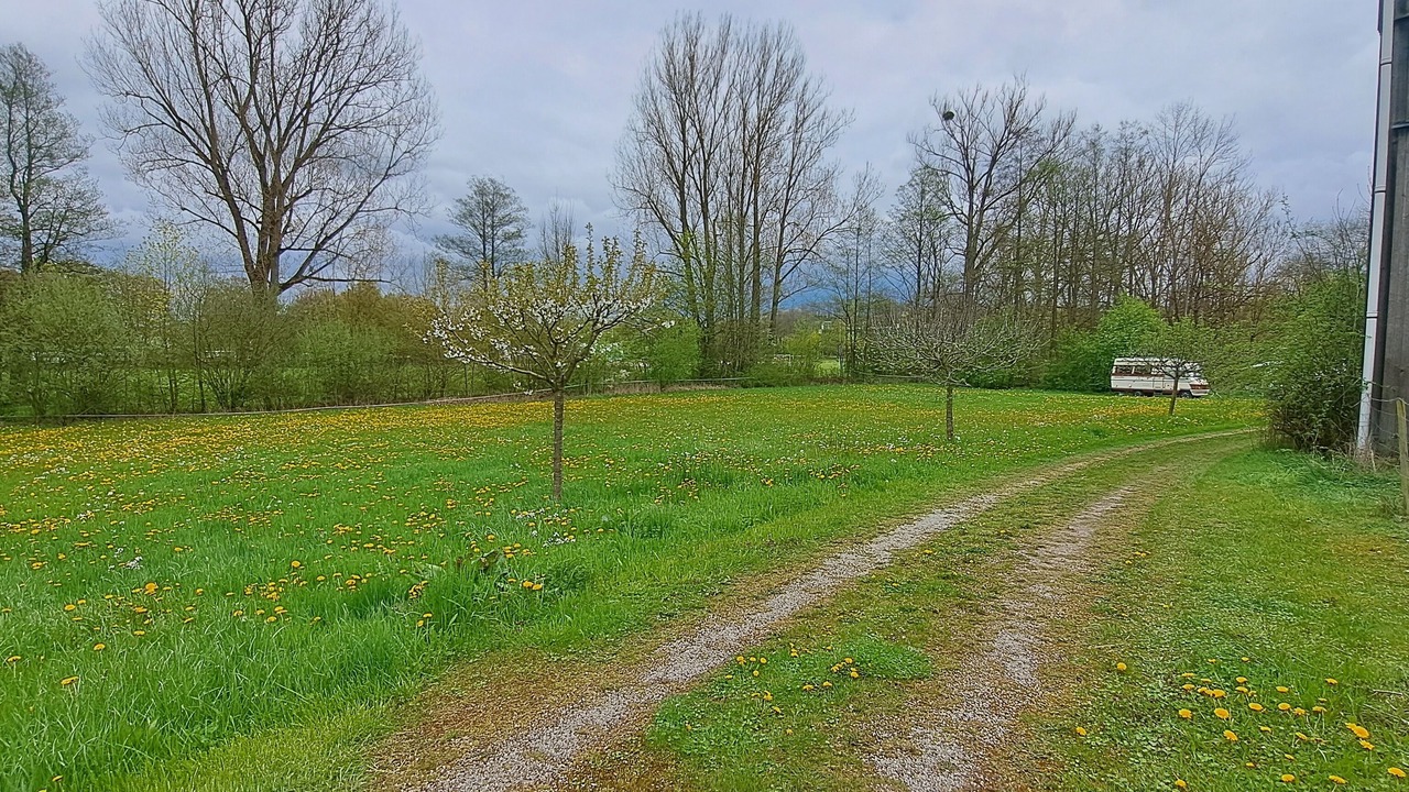 Photo of Outdoor in Roedental