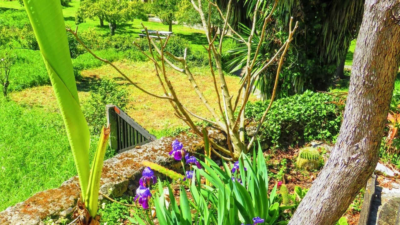 Photo of Outdoor in Sao Joao Batista