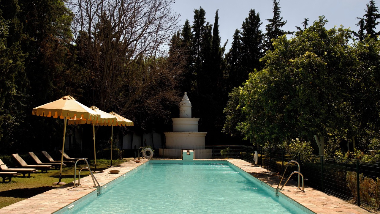 Photo of Outdoor in Palma del Rio