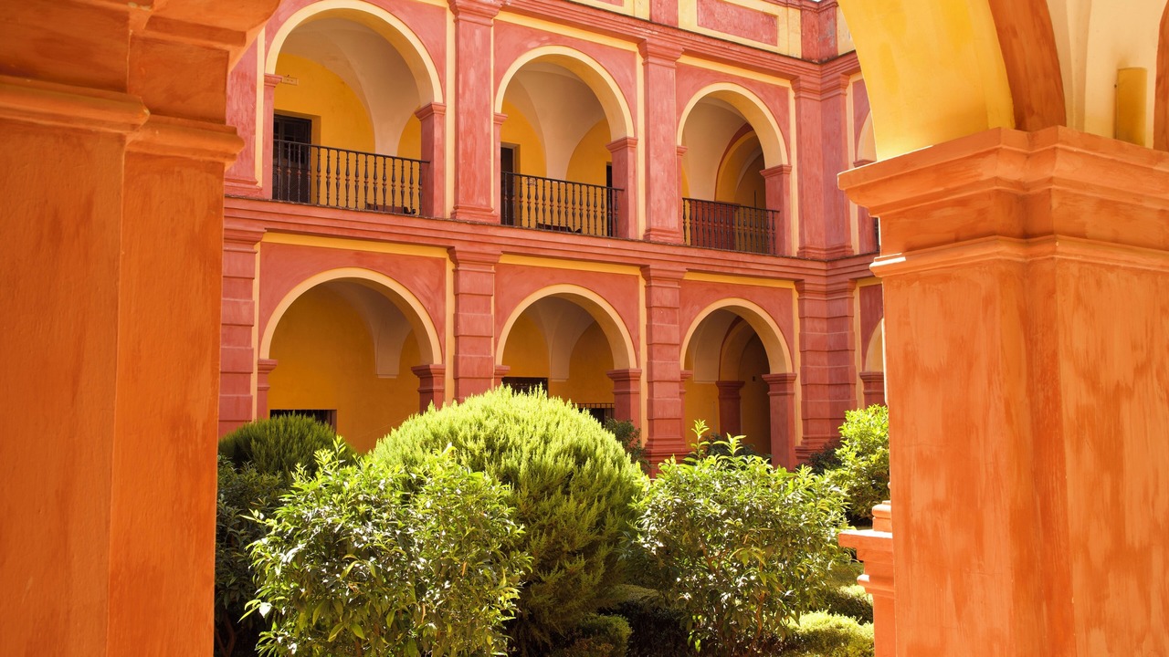Photo of Outdoor in Palma del Rio