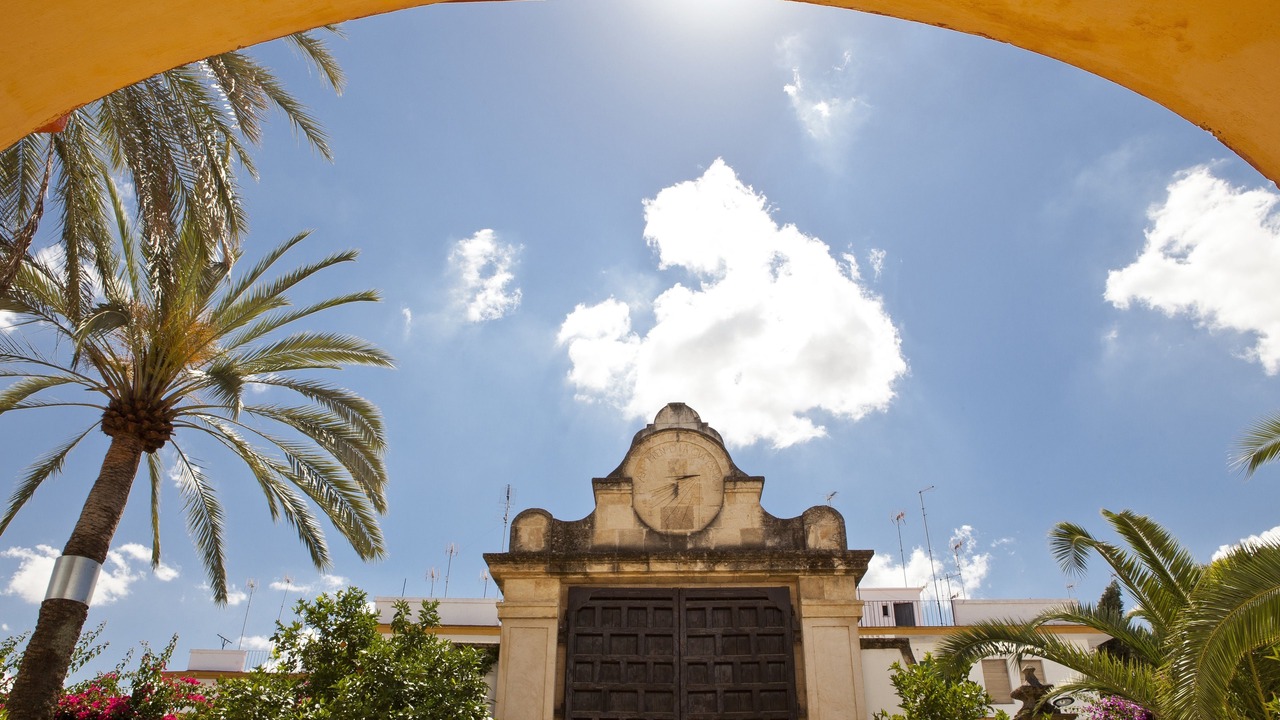 Photo of Others in Palma del Rio
