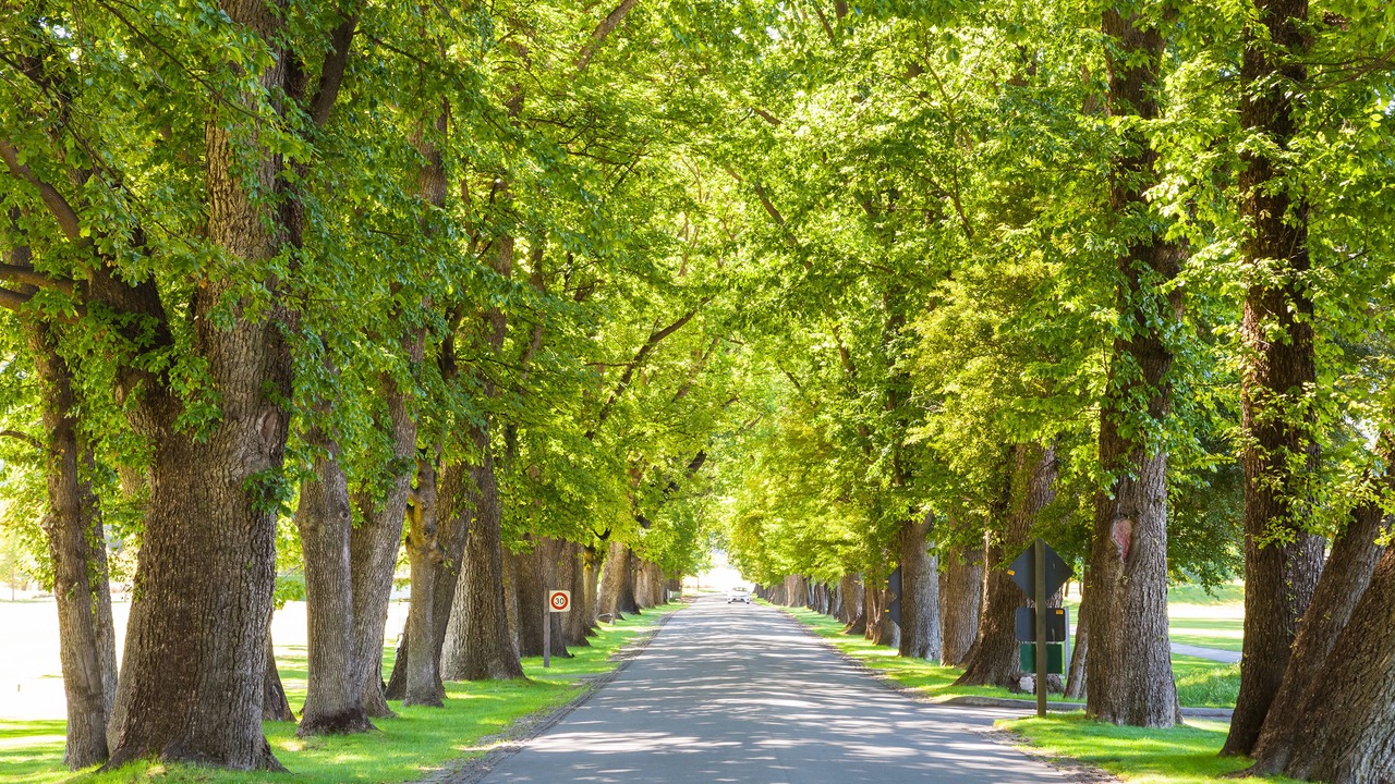 Photo of Outdoor in Arrowtown
