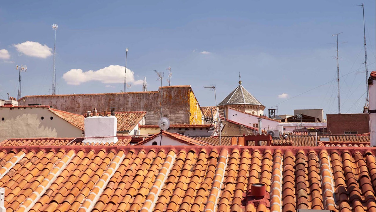 Photo of Others in Palacio