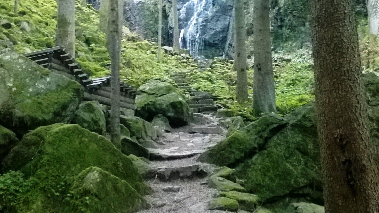 Photo of Outdoor in Bad Rippoldsau-Schapbach