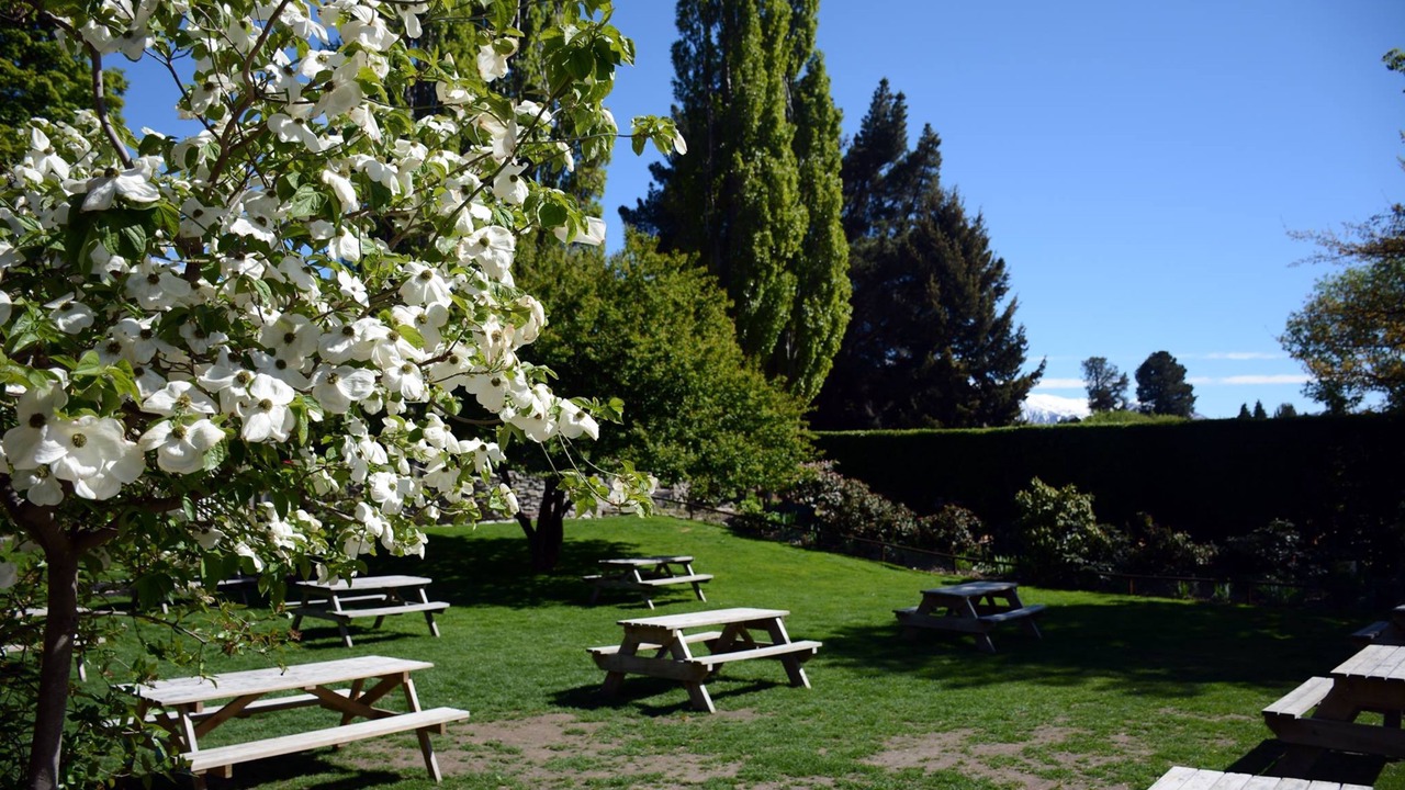 Photo of Others in Cardrona