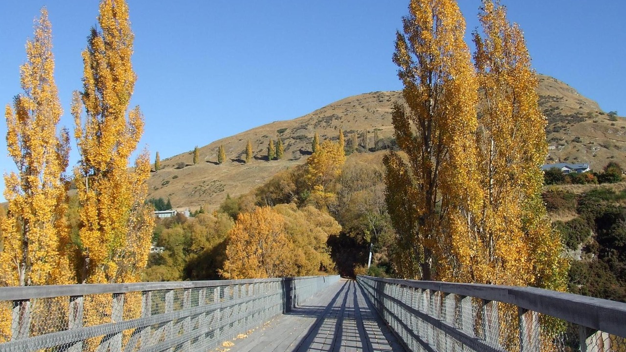 Photo of Others in Lower Shotover