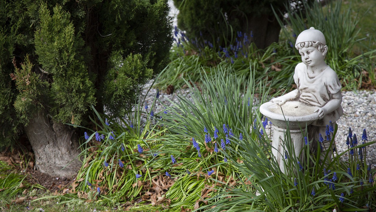 Photo of Outdoor in Arrowtown