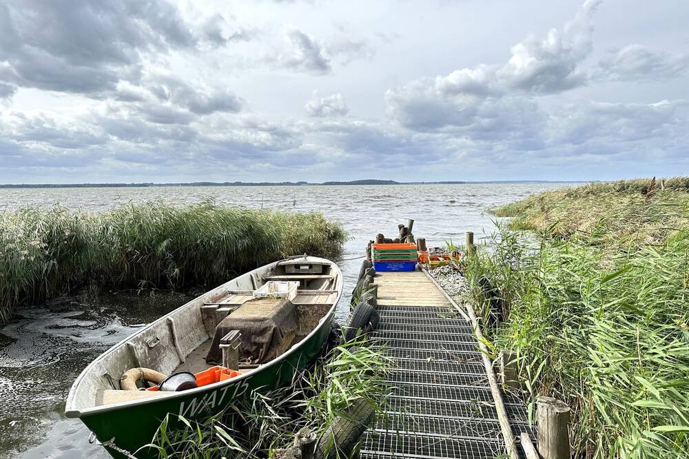 Photo of Others in Warthe