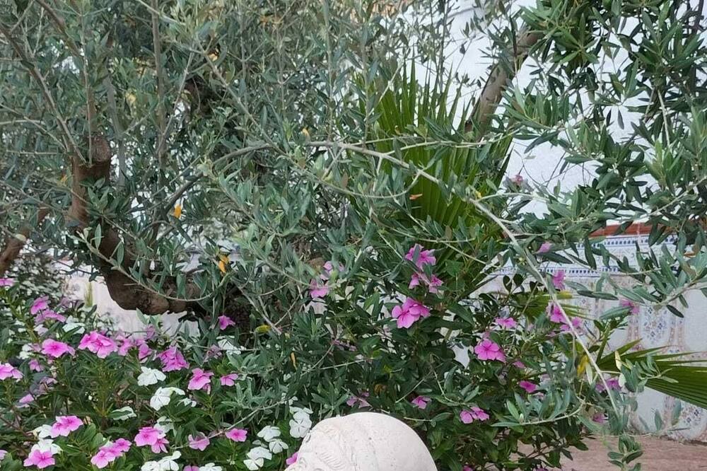 Photo of Outdoor in Hornachuelos