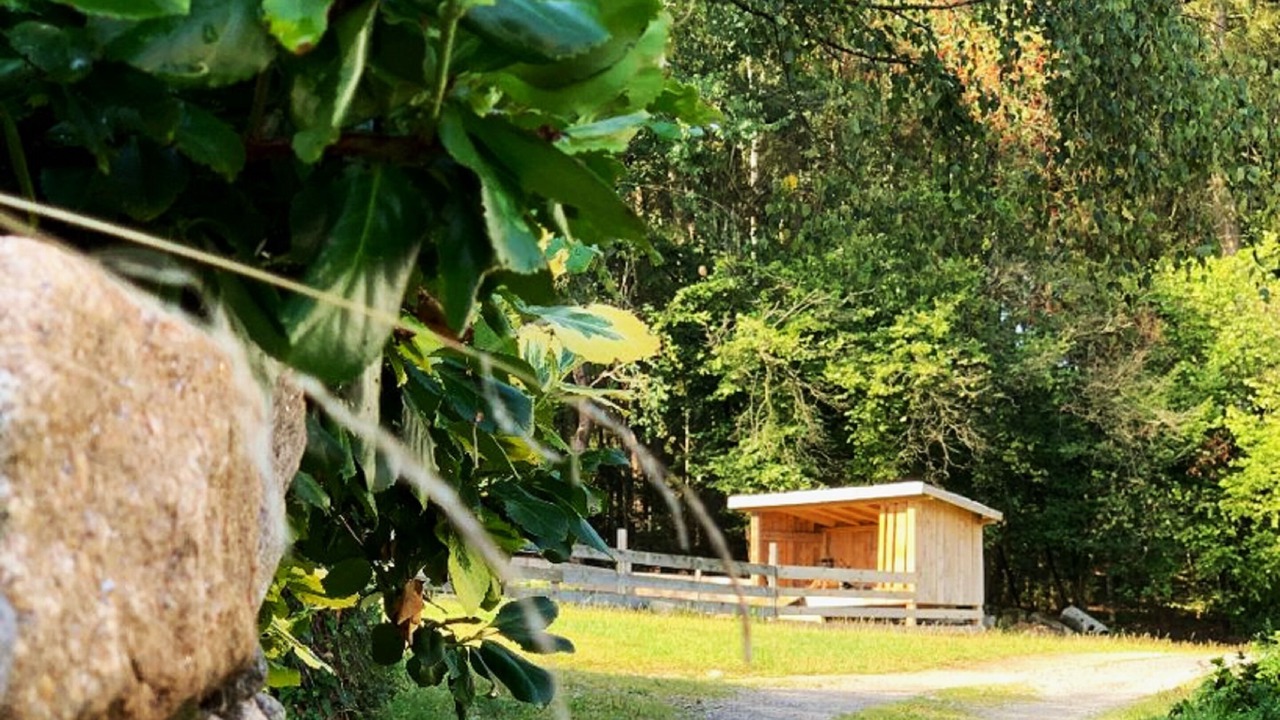 Photo of Outdoor in Zandt