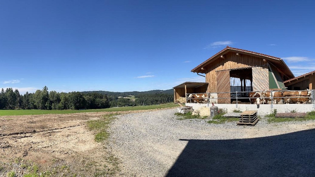 Photo of Outdoor in Zandt