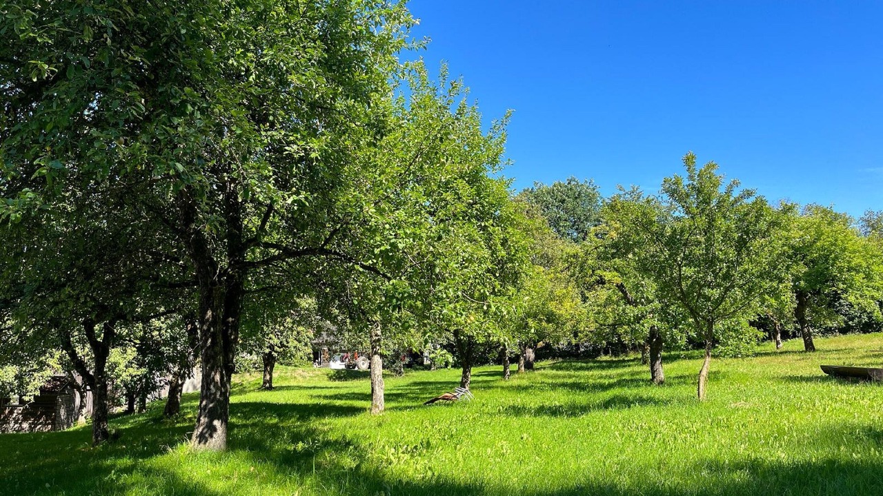Photo of Outdoor in Zandt