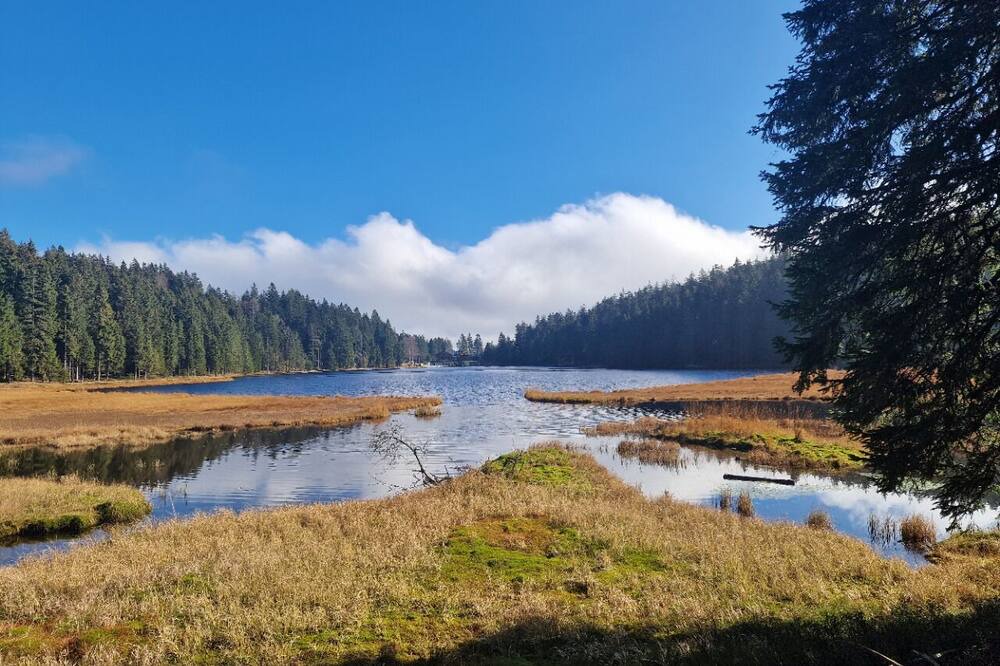 Photo of Outdoor in Grafenwiesen