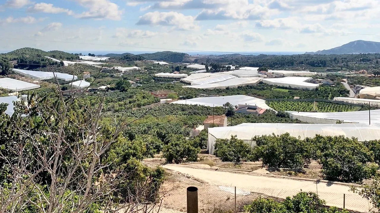 Photo of Outdoor in Callosa d' En Sarria