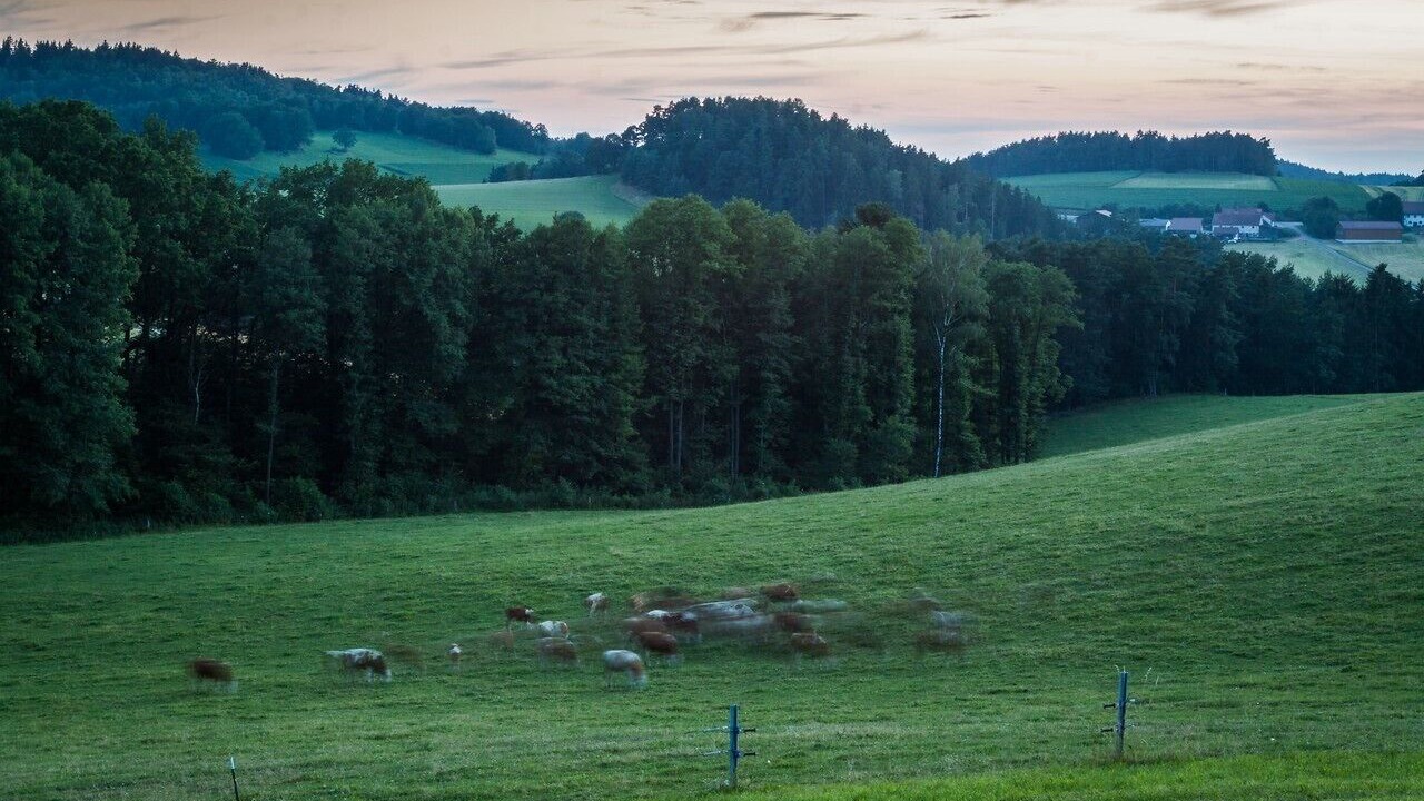 Photo of Outdoor in Brennberg