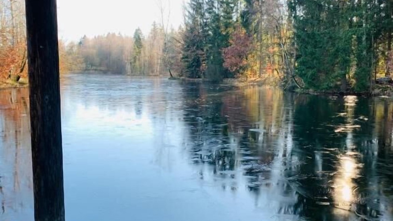Photo of Others in Grillenburg