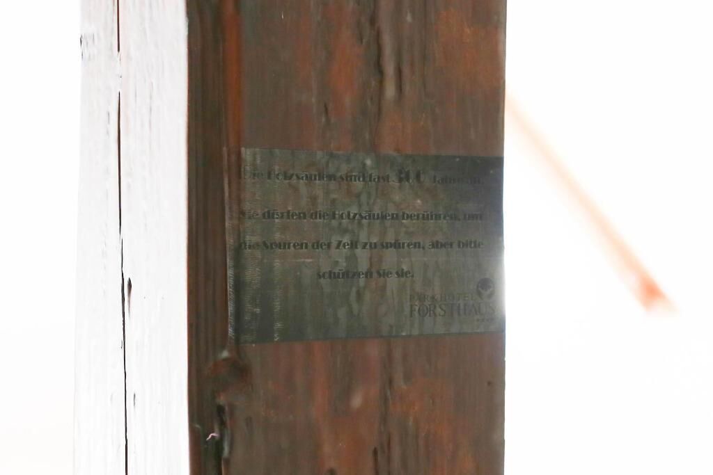 Photo of Others in Tharandt