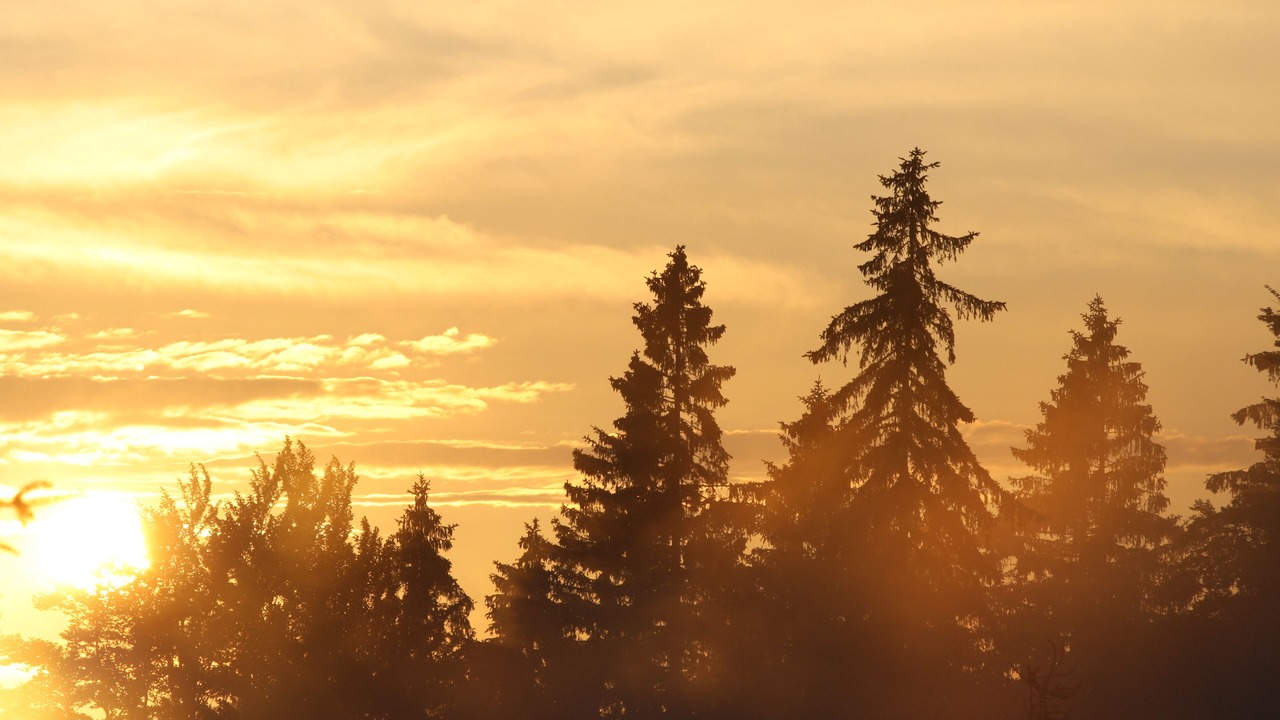 Photo of Outdoor in Barenfels