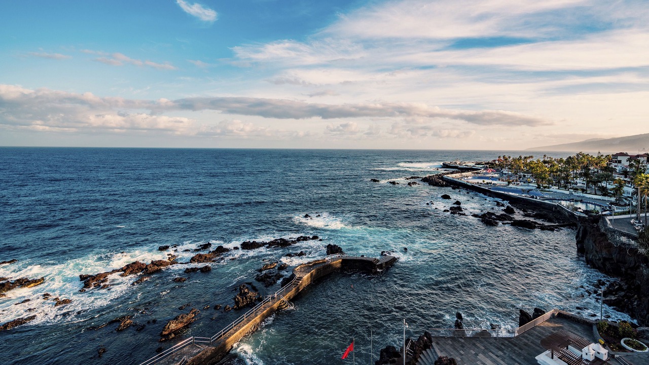 Photo of Others in Puerto de la Cruz