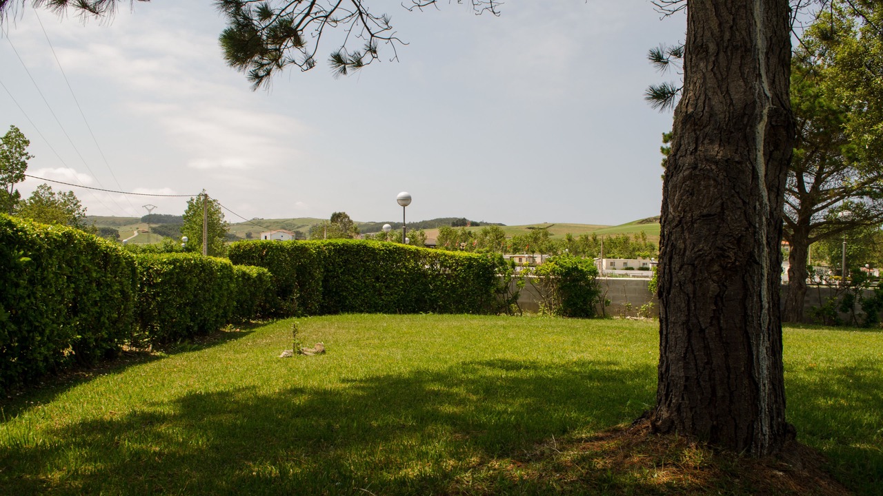 Photo of Outdoor in Bareyo