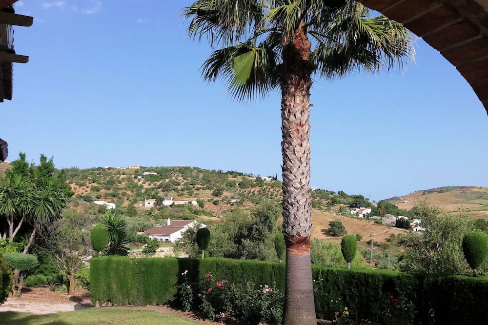 Photo of Others in Antequera