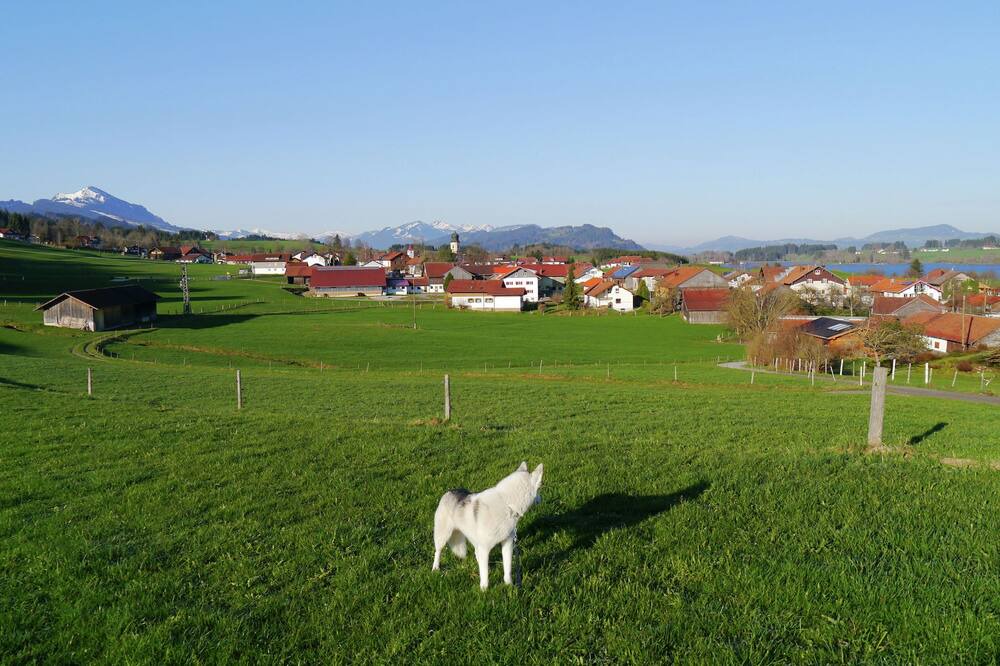 Photo of Others in Feld