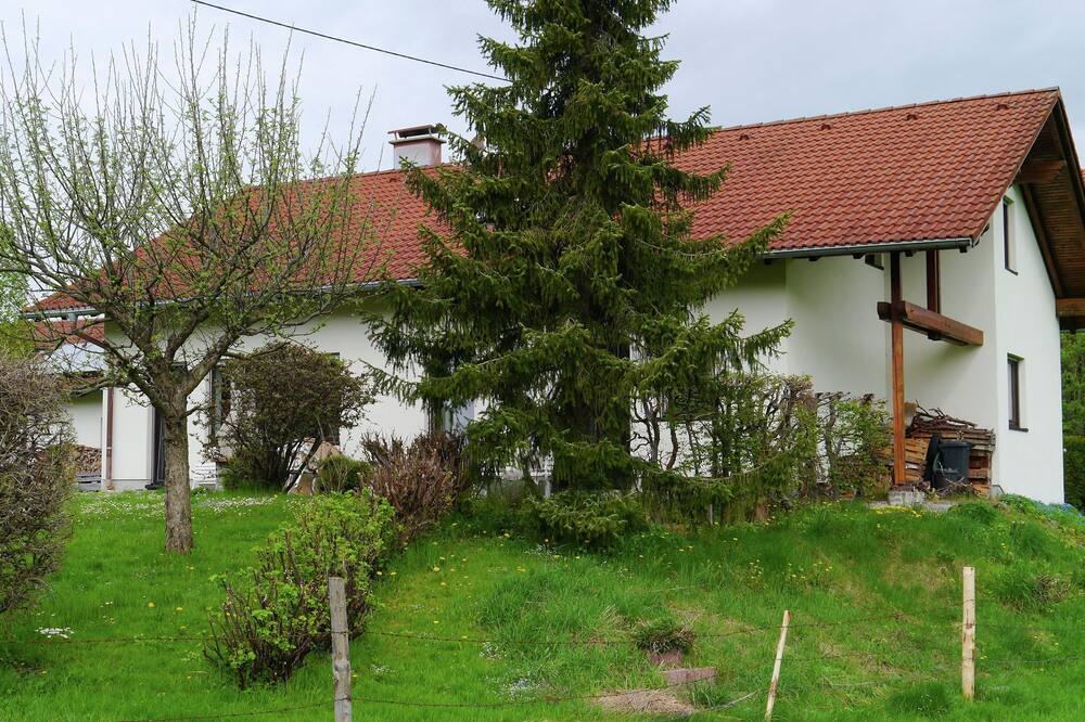 Photo of Outdoor in Feld