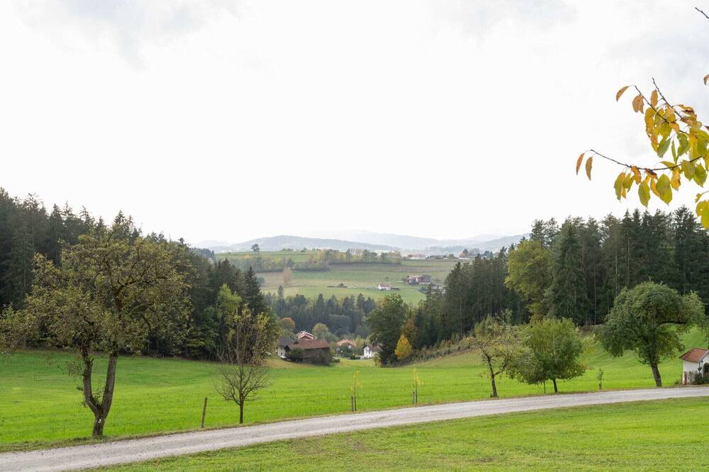 Photo of Others in Viechtach