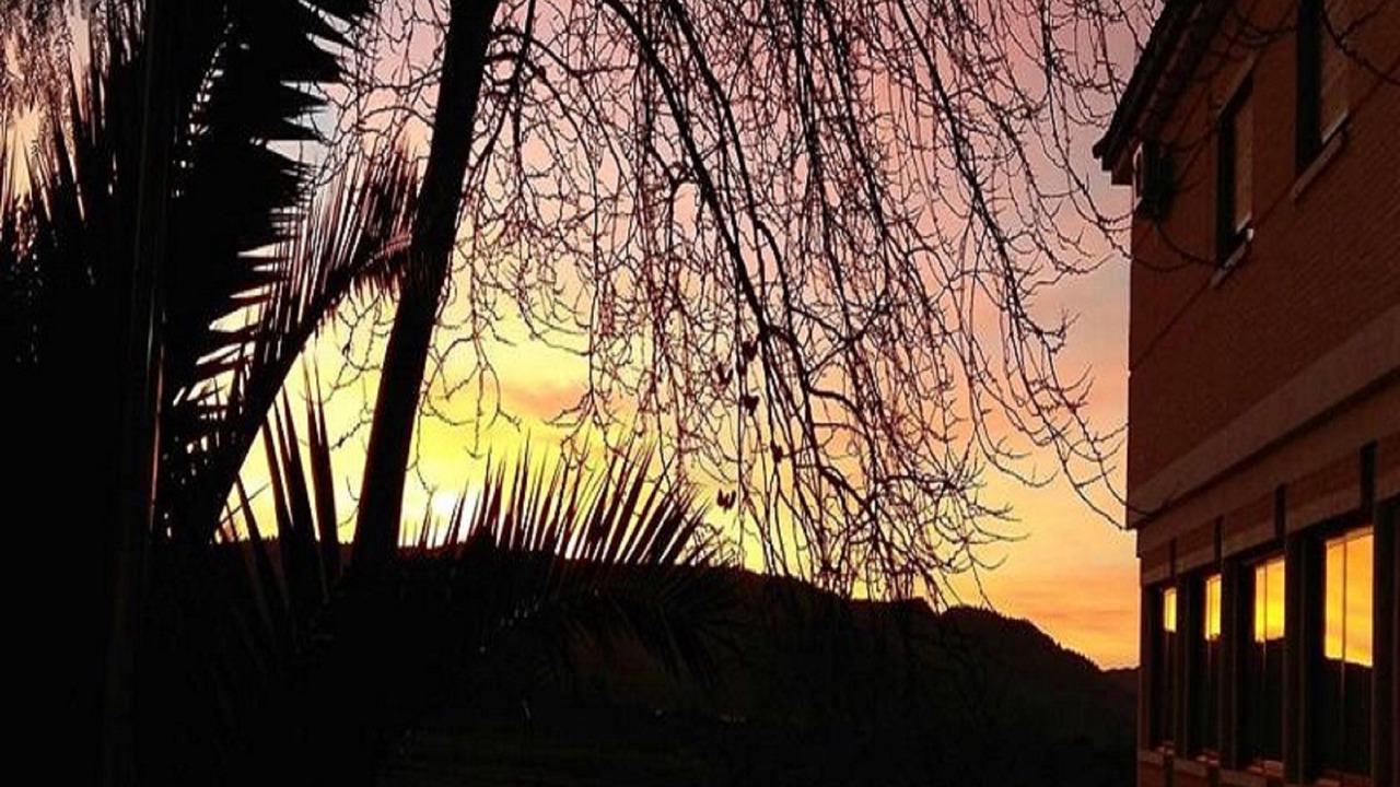Photo of Outdoor in Cehegin