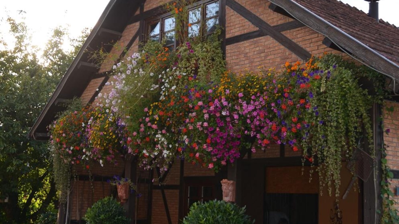 Photo of Outdoor in Amorbach