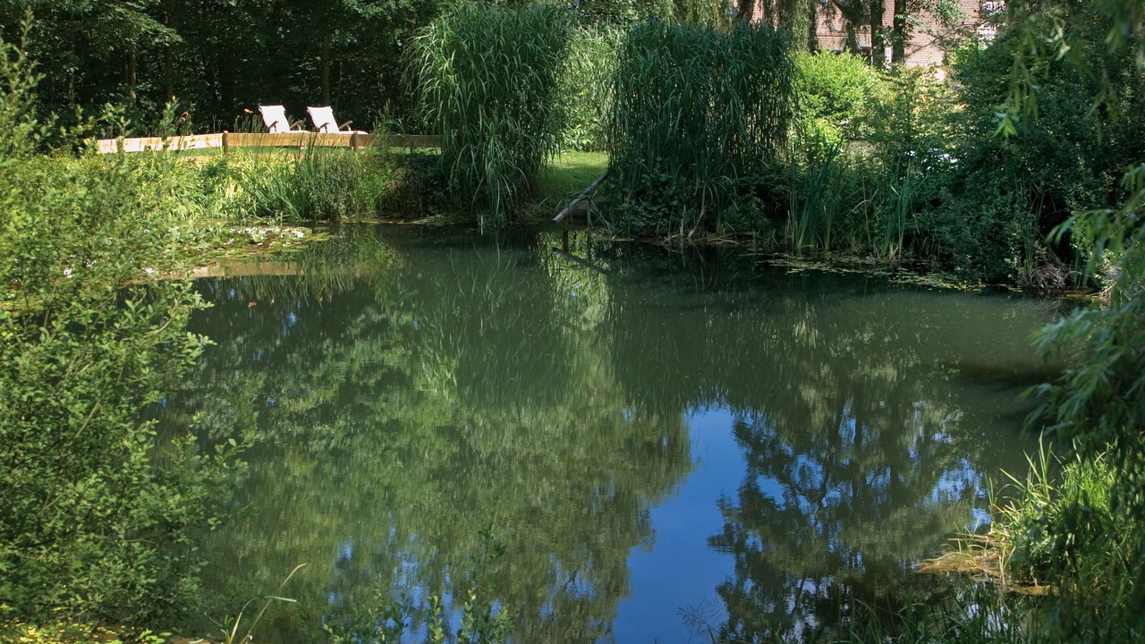 Photo of Outdoor in Amorbach