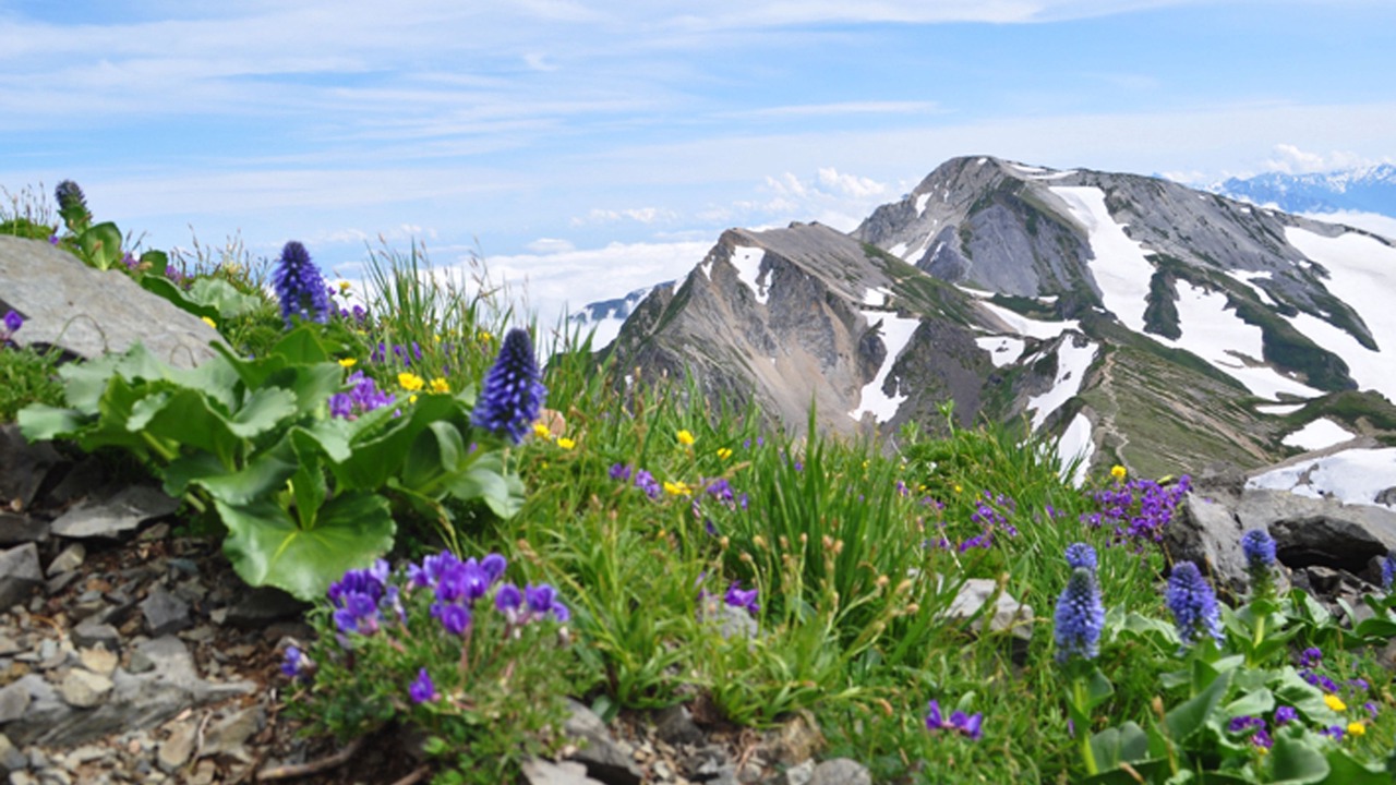 Photo of Outdoor in Iida