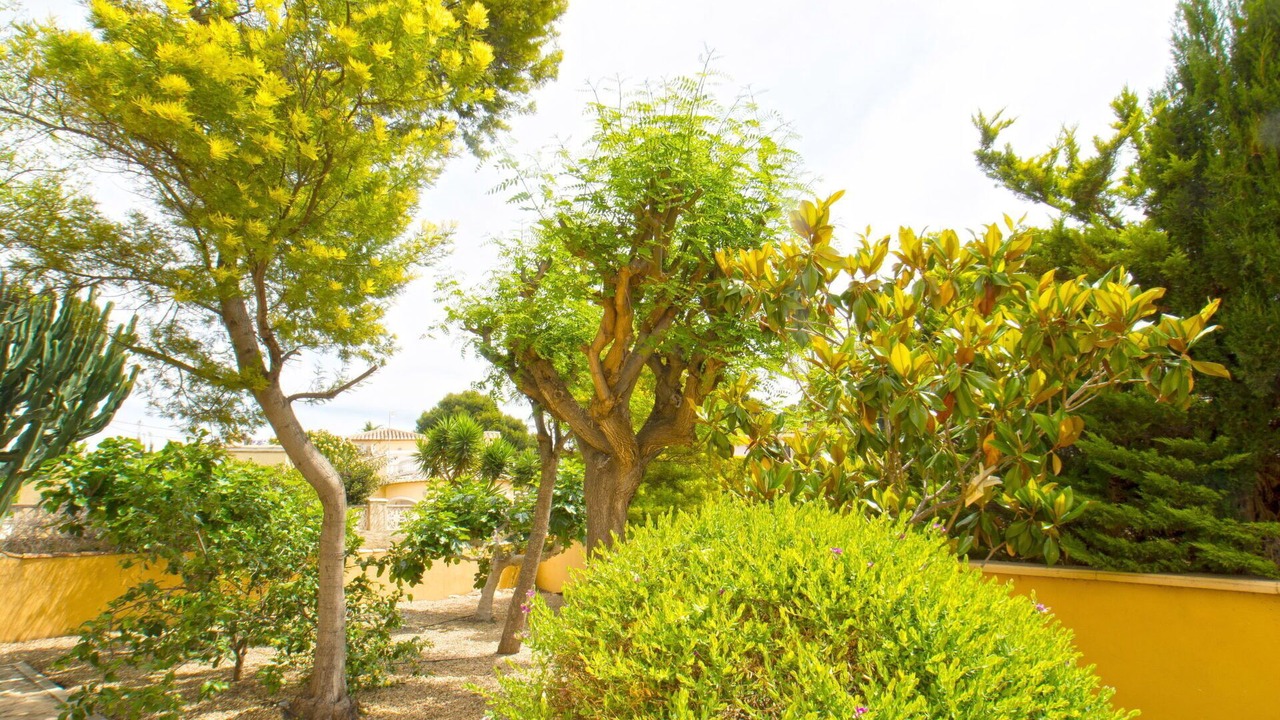 Photo of Others in Casas de Torrat
