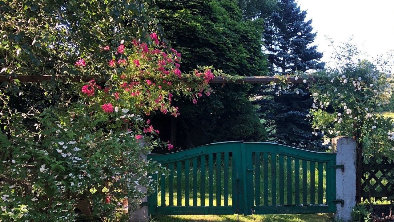 Photo of Outdoor in Neuses