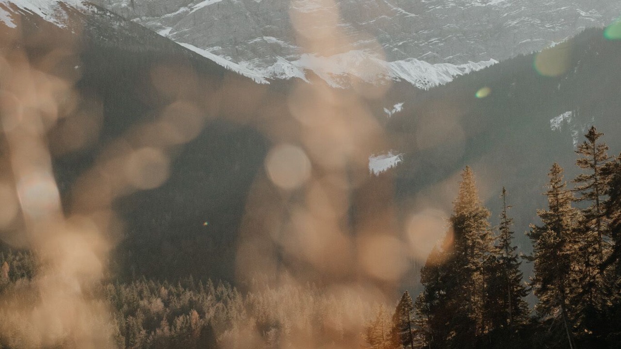 Photo of Others in Eggstatt