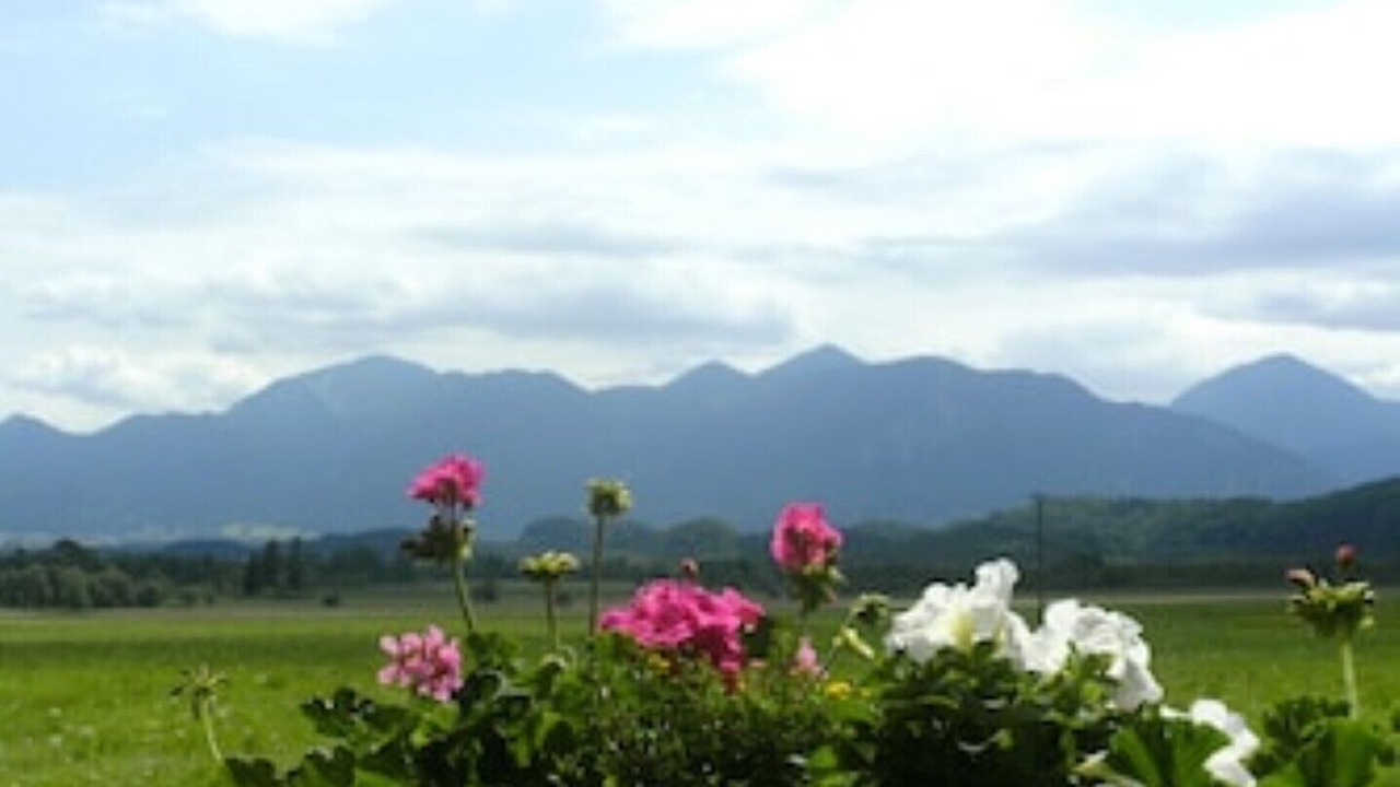 Photo of Others in Grafenaschau