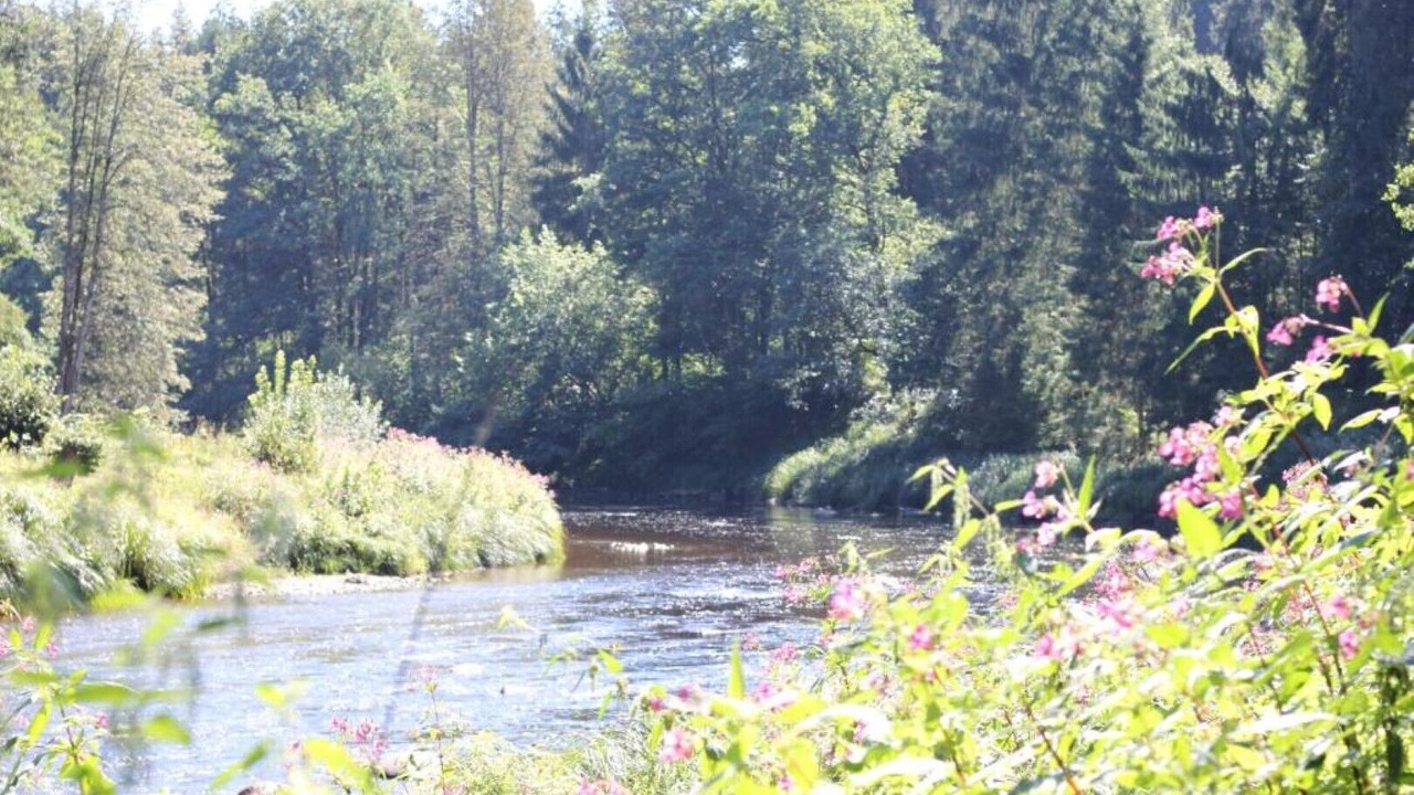 Photo of Others in Neukirchen vorm Wald