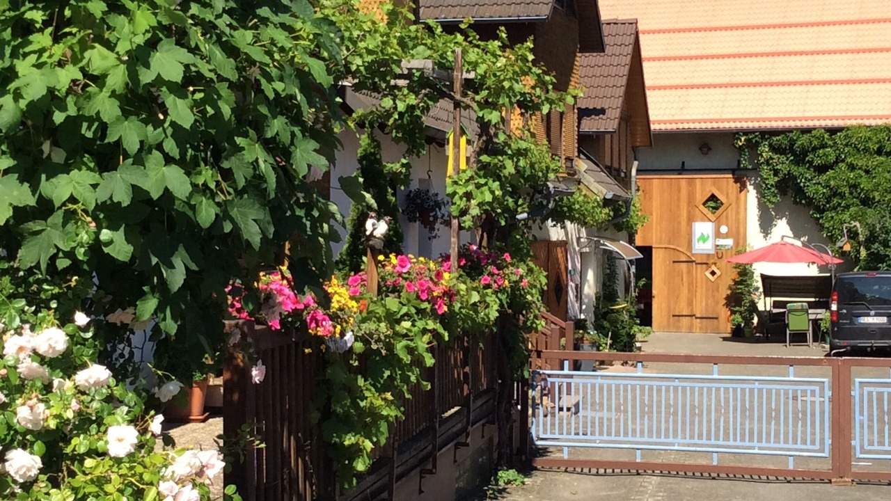 Photo of Outdoor in Sandberg