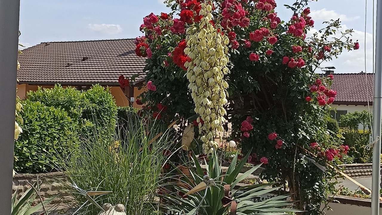 Photo of Outdoor in Ebing