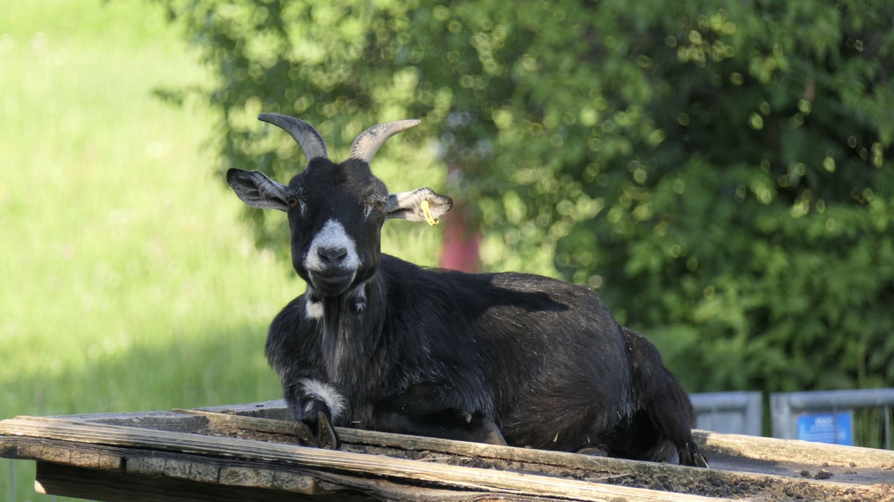 Photo of Outdoor in Eggstatt