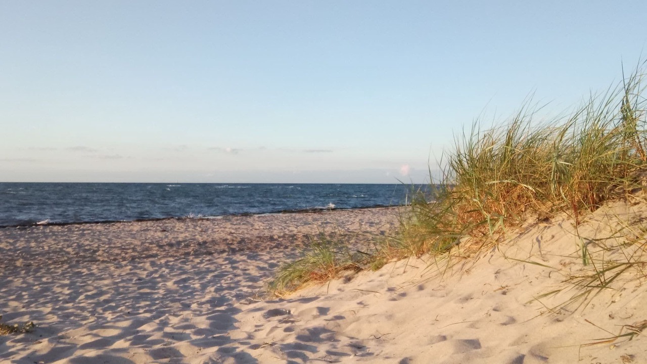 Photo of Others in Zierow