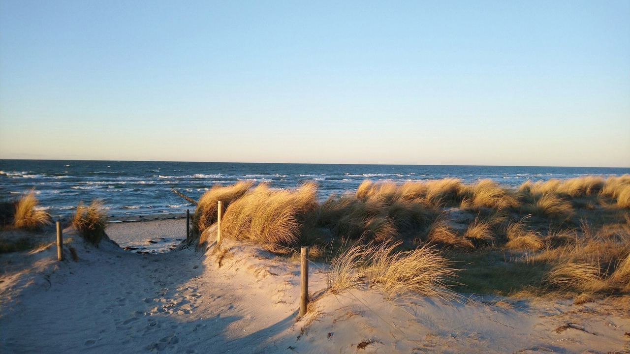 Photo of Others in Zierow